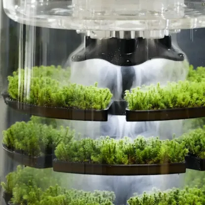 Indoor Moss Terrarium – Multilayer Smart Moss Ecosystem with App Control
