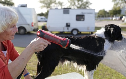 Portable Heated Water Hose Sprayer
