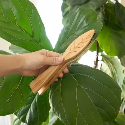 Leaf-Shaped Plant Cleaning Tongs – Dual-Side Dust Remover for Indoor & Outdoor Plants