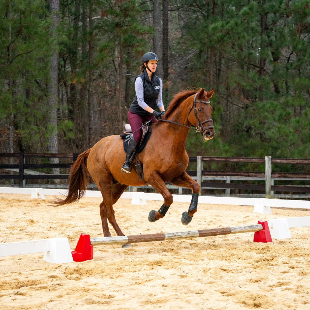 2-in-1 Pylon & Cavaletti Training Tool – 3 Heights, Stackable