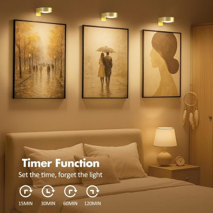 Magnetic LED Artwork Display Light with 13 Lighting Modes