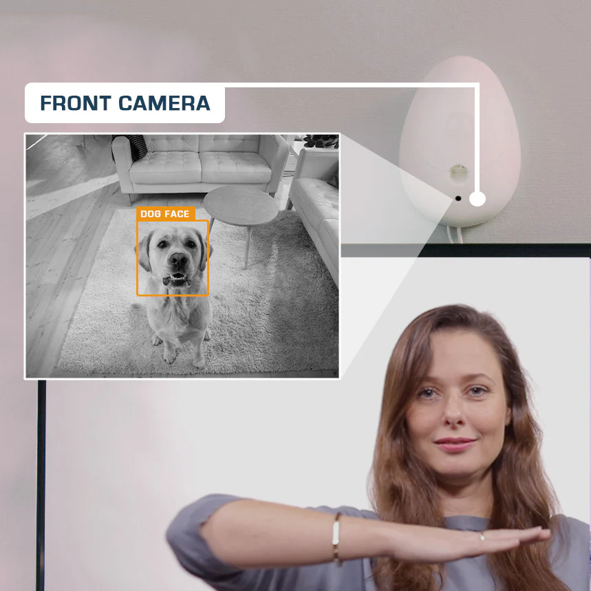 Indoor Interactive Mental Training Device for Dogs