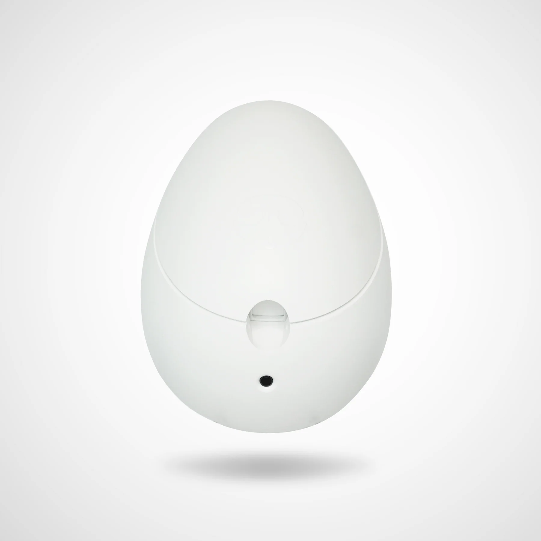 Indoor Interactive Mental Training Device for Dogs
