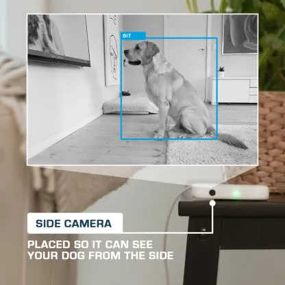 Indoor Interactive Mental Training Device for Dogs