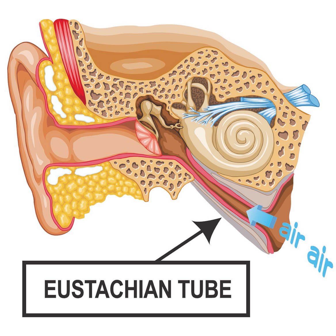 Ear Pressure Relief Device