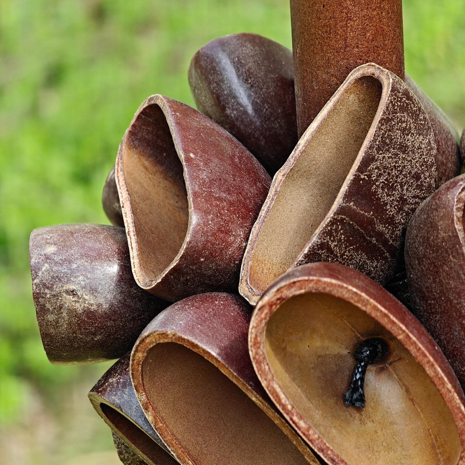 Natural Seed Pod Rattle – Wooden Handle Percussion Shaker for Meditation