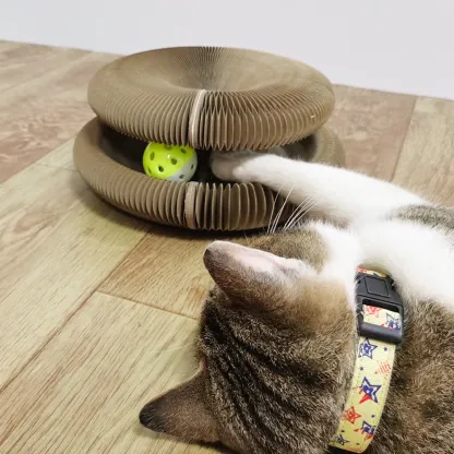 One Board, Countless Shapes – The Foldable Scratcher That Grows with Your Cat