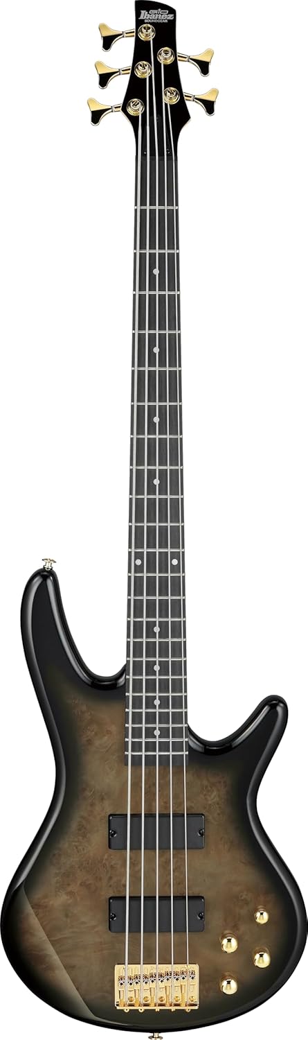 ibanez-electric-bass-gsr205pctpb-Locoriaroom