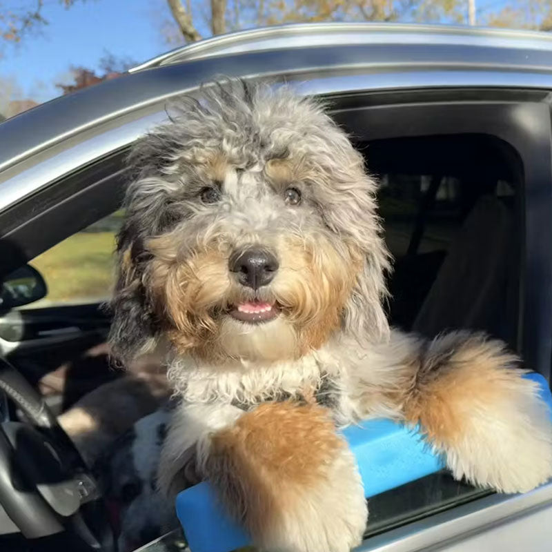 🐶Dog-Specific Car Window Chin Rest
