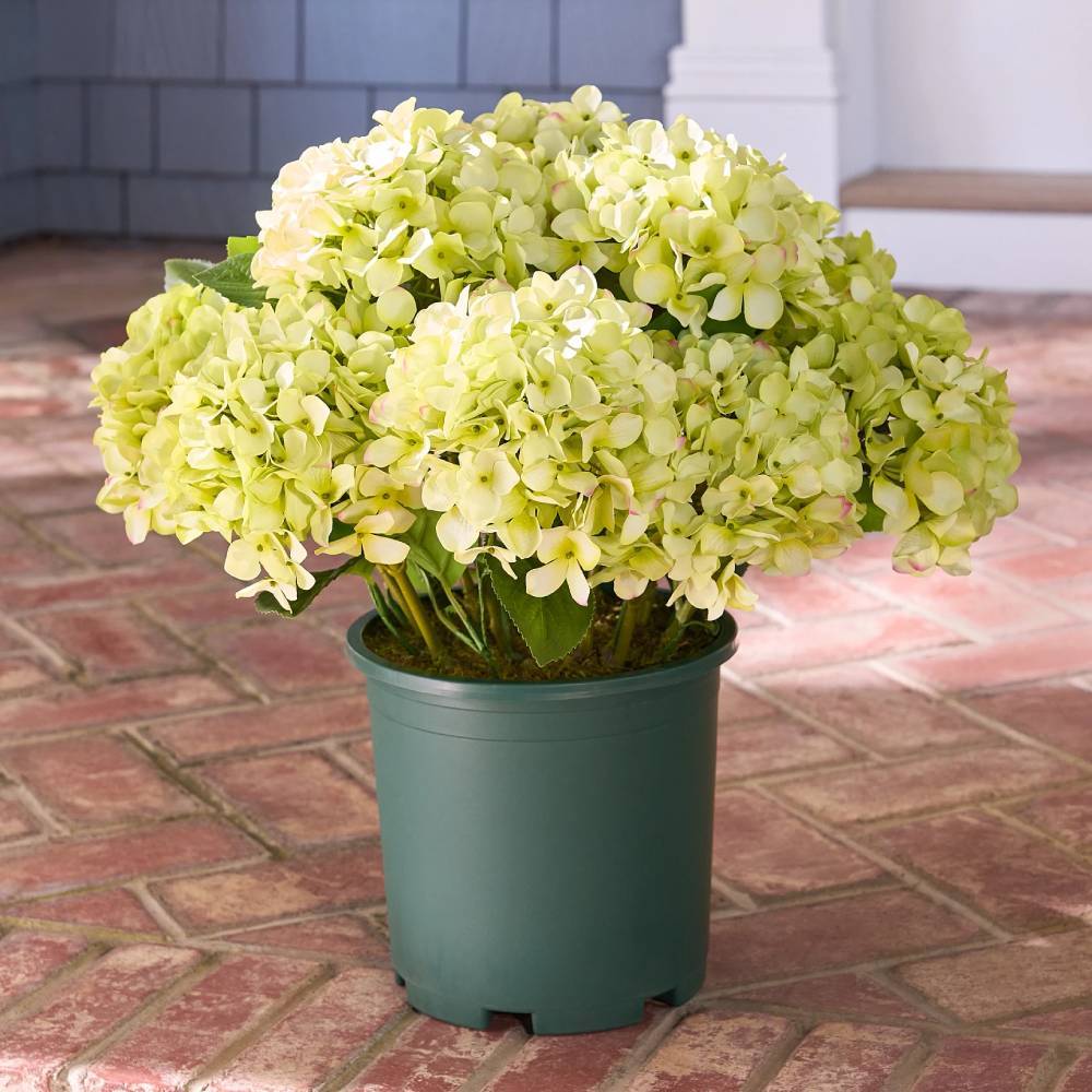 💥Last Day 70% OFF💐Artificial Outdoor Hydrangea Flowers - UV resistant, Waterproof, Windproof