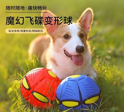 Ball Bouncing Toy ( Best Gift For Dog Cat Kids )
