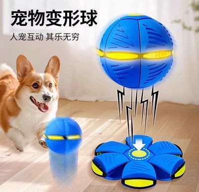 Ball Bouncing Toy ( Best Gift For Dog Cat Kids )