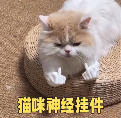 Funny Toy For Cat And Dog ( Best Gift 🎁)
