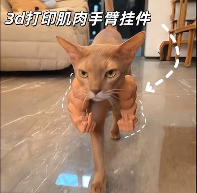 Funny Toy For Cat And Dog ( Best Gift 🎁)