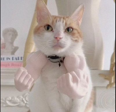 Funny Toy For Cat And Dog ( Best Gift 🎁)