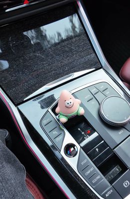 BMW Gear Shift Cover