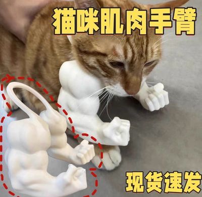 Funny Toy For Cat And Dog ( Best Gift 🎁)