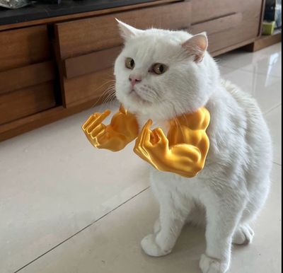Funny Toy For Cat And Dog ( Best Gift 🎁)