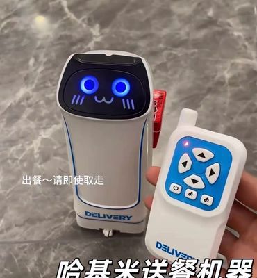 Mini Robot Delivery