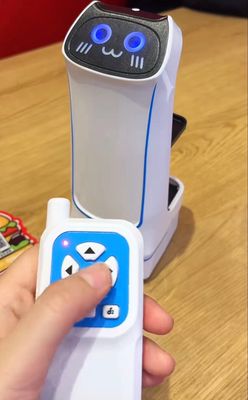 Mini Robot Delivery