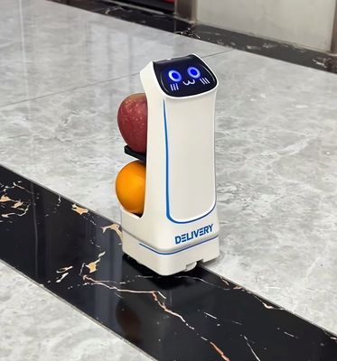 Mini Robot Delivery