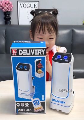 Mini Robot Delivery