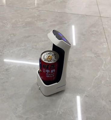 Mini Robot Delivery