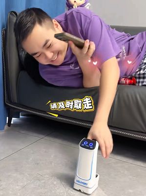 Mini Robot Delivery