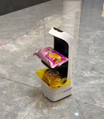 Mini Robot Delivery