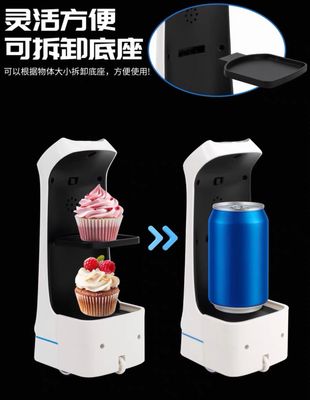 Mini Robot Delivery