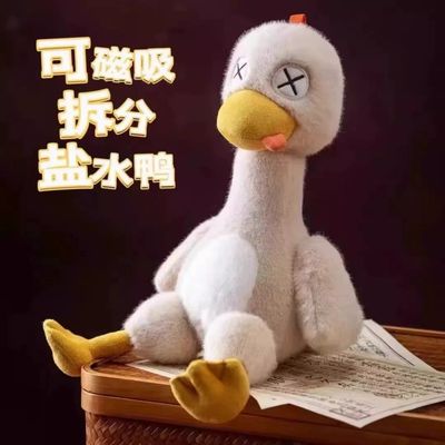 Magnetic Chicke