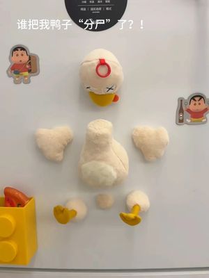 Magnetic Chicke
