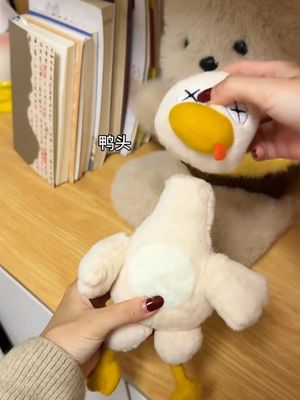 Magnetic Chicke