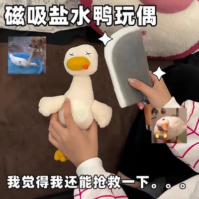 Magnetic Chicke