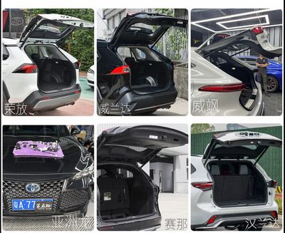 Car Trunk Hatch Lift ( Have For All Cars )