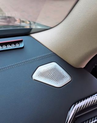 BMW Speaker Cover 2 Pcs Add