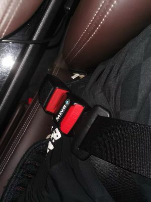 Car Interior Seat Belt Buckle Clip ( Price For 2 Pcs )( For All Cars )