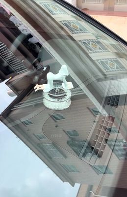 Doll Solar-Powered Rotating