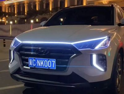 Automotive Start-up Scanning Dynamic Continuous Running Lights Grille Modification Universal LED Hood Lights