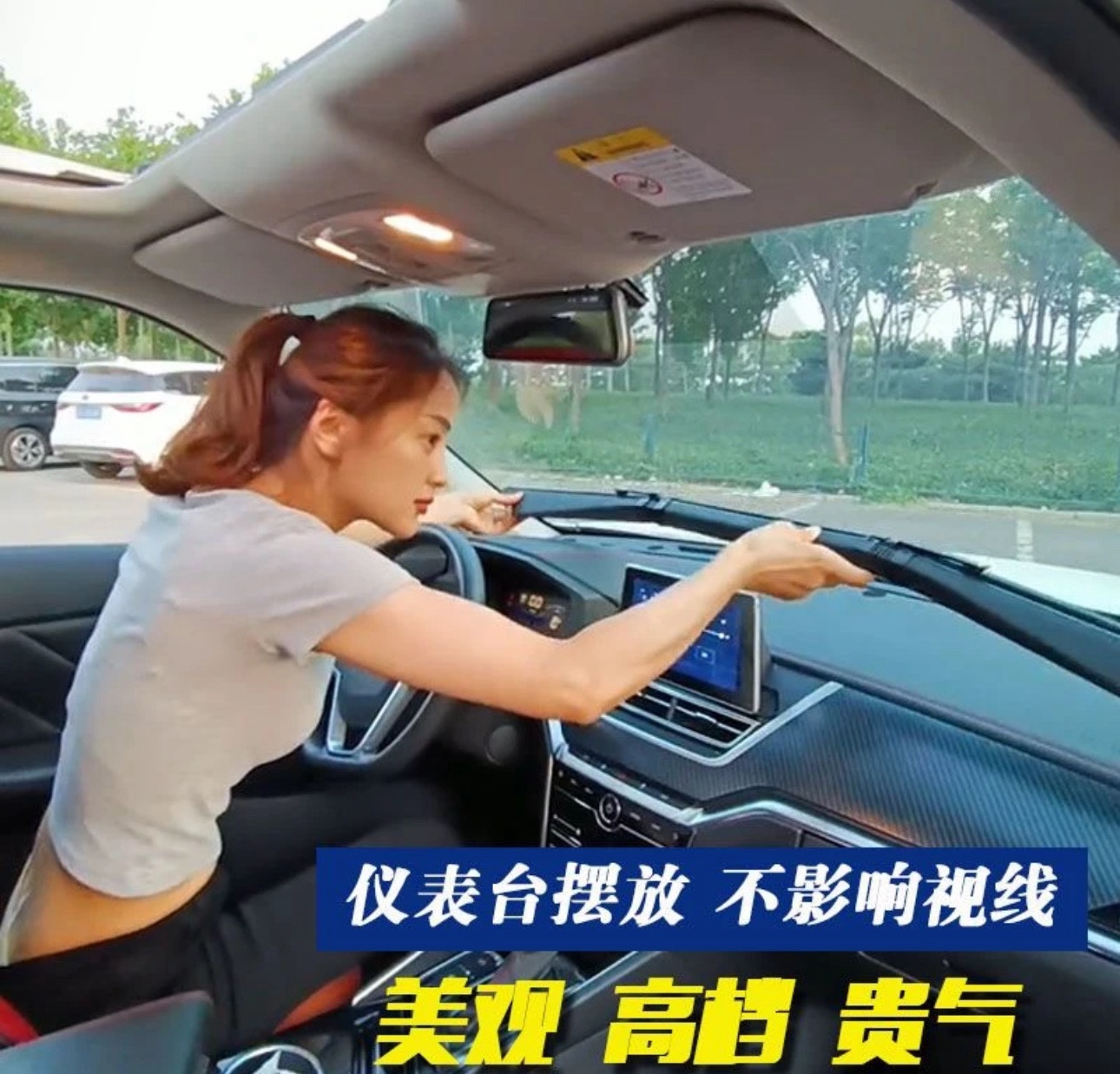 Car Curtain Original Universal For All Cars