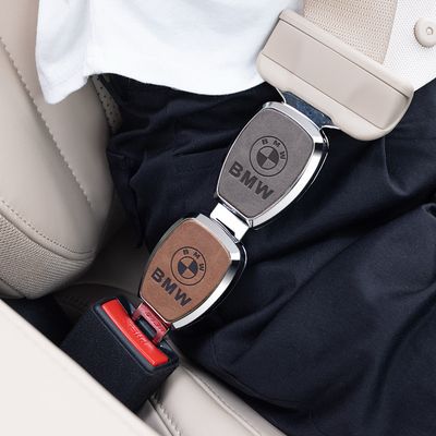Luxury Logo Plug Seat Belt 2pcs