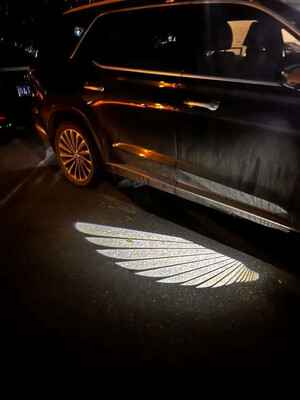 Car Wings Led 2 pcs ( Have For All Cars)