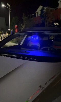 Car Security Light 2PCS Set