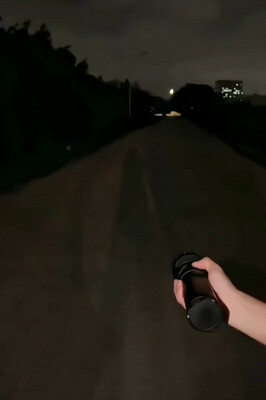 Flashlight Shark Highly Quality