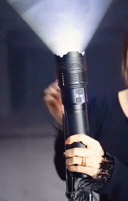 Flashlight Shark Highly Quality