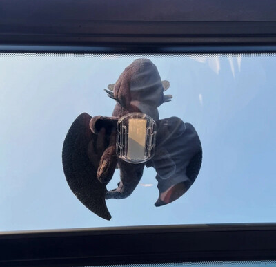 Dragon Car Toy