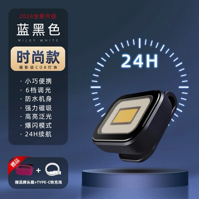 Mini Flashlight W500 Original