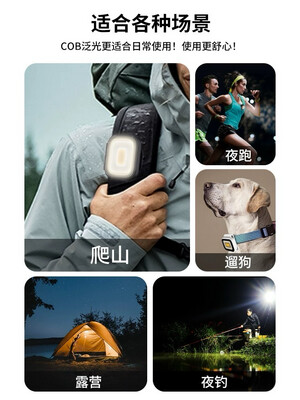 Mini Flashlight W500 Original
