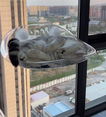 Cat Bed
