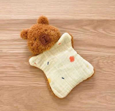 2 in 1 Cute Rag